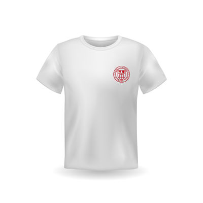 Men's Custom Logo Printing University T-Shirt with Skin-Friendly Fabric and Promotion