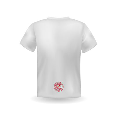 Men's Custom Logo Printing University T-Shirt with Skin-Friendly Fabric and Promotion